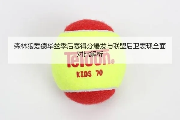森林狼爱德华兹季后赛得分爆发与联盟后卫表现全面对比解析（kaiyun）